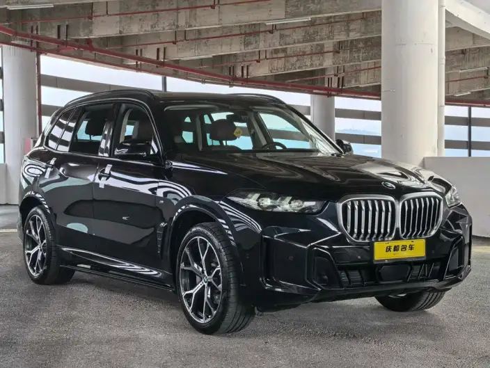 BMW X5 2023 Model xDrive30Li Exclusive Model M Sports Night Set – фото 3