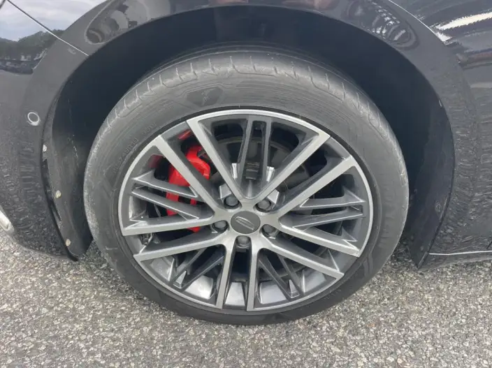 Geely StarRui 2021 Model 2.0T Noble Model – фото 9