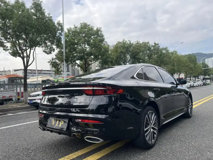 Geely StarRui 2021 Model 2.0T Noble Model – фото 6