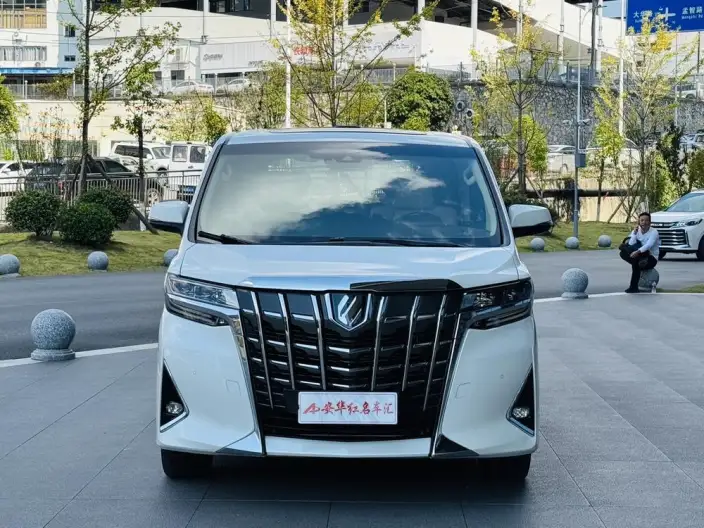 Elfa 2021 Model Hybrid 2.5L Deluxe Edition – фото 2