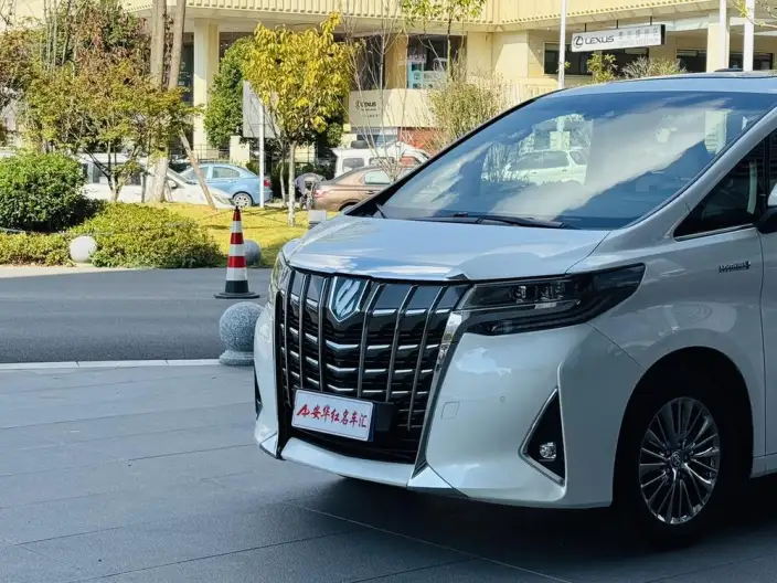 Elfa 2021 Model Hybrid 2.5L Deluxe Edition – фото 7