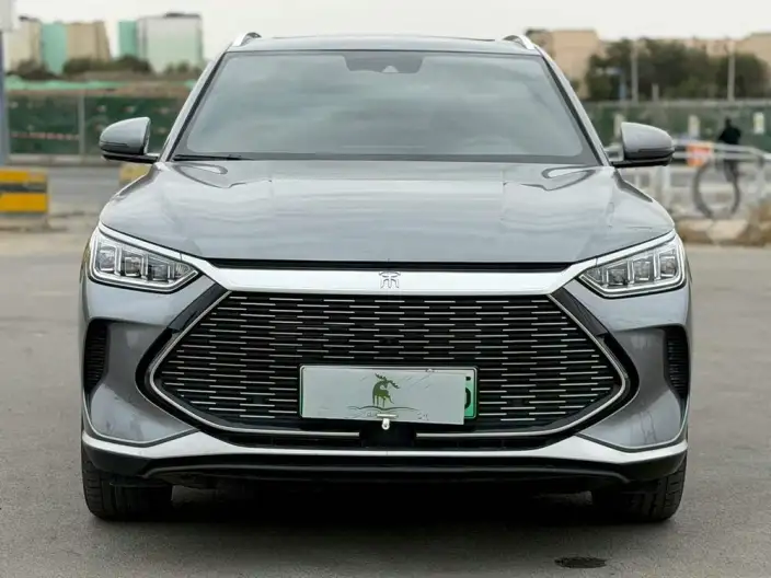 BYD Song PLUS DM 2021 Model DM-i 110KM 2WD Flagship Model – фото 2