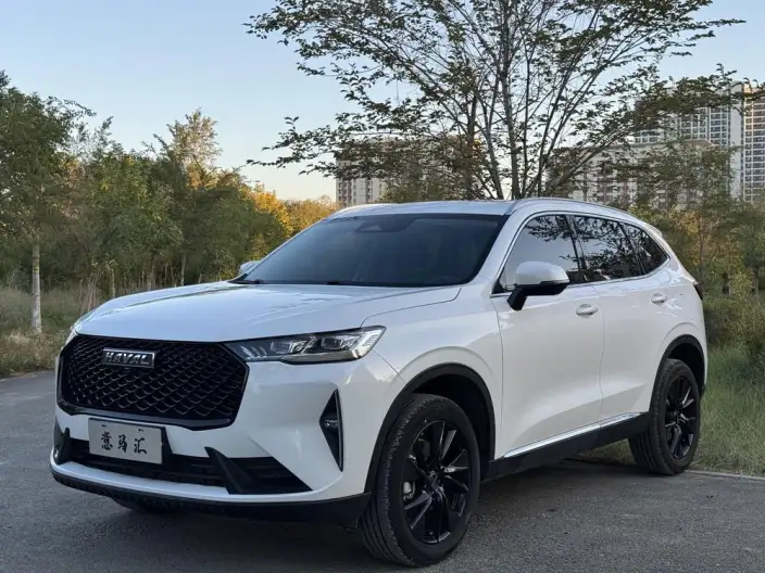 Haval H6 2021 Model Third generation 2.0T Automatic 2WD Max Edition – фото 1