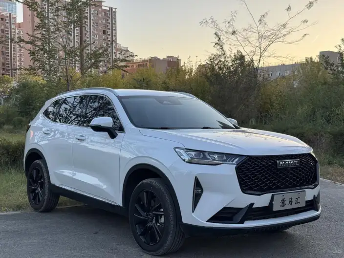 Haval H6 2021 Model Third generation 2.0T Automatic 2WD Max Edition – фото 3