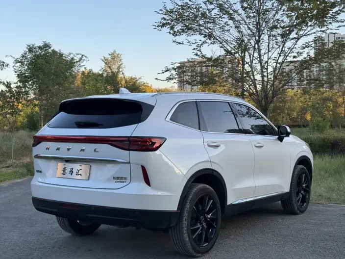 Haval H6 2021 Model Third generation 2.0T Automatic 2WD Max Edition – фото 4