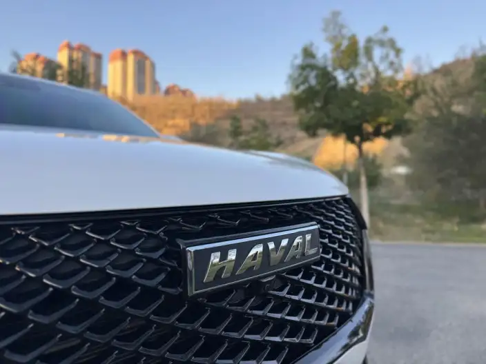 Haval H6 2021 Model Third generation 2.0T Automatic 2WD Max Edition – фото 6