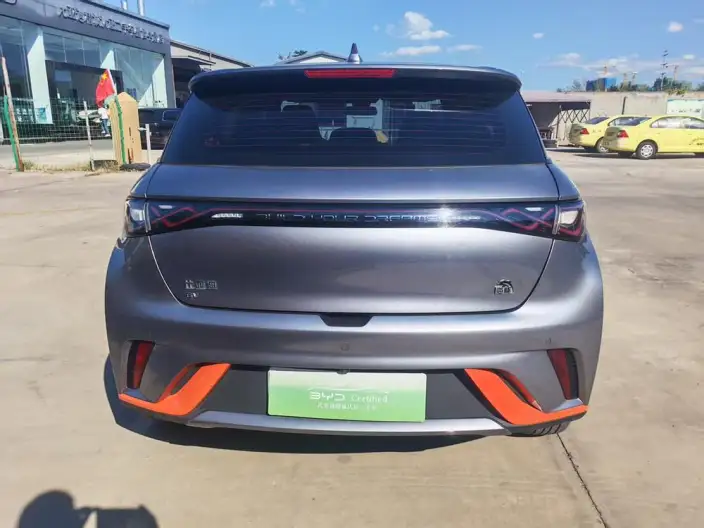 BYD Dolphin 2021 Model Fashion Edition – фото 5