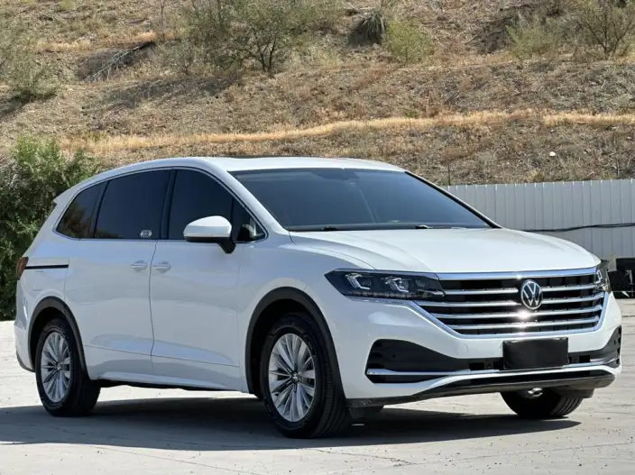 Viloran 2020 Model 330TSI Deluxe Edition – фото 3