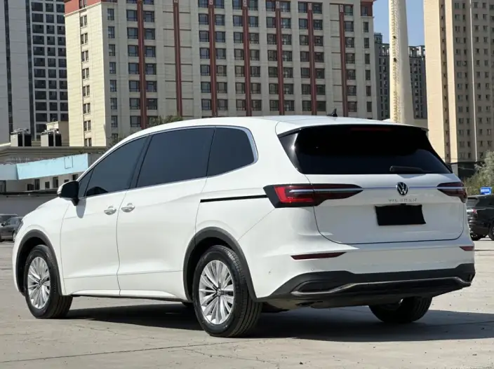 Viloran 2020 Model 330TSI Deluxe Edition – фото 4