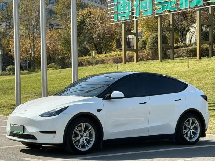 Model Y 2022 Model Rear-wheel drive version – фото 1
