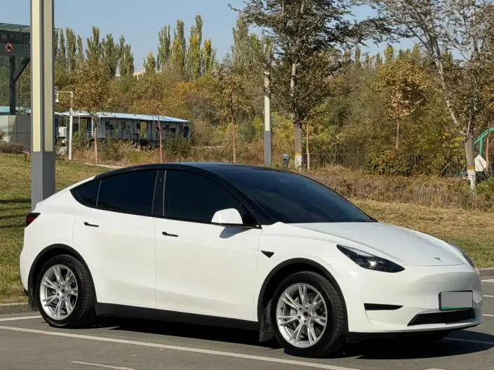 Model Y 2022 Model Rear-wheel drive version – фото 3
