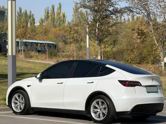 Model Y 2022 Model Rear-wheel drive version – фото 4