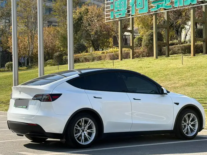 Model Y 2022 Model Rear-wheel drive version – фото 6