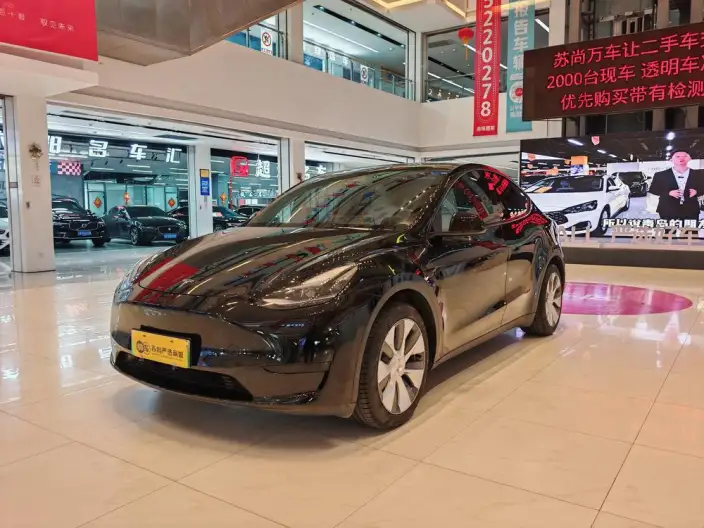 Model Y 2022 Model Rear-wheel drive version – фото 1