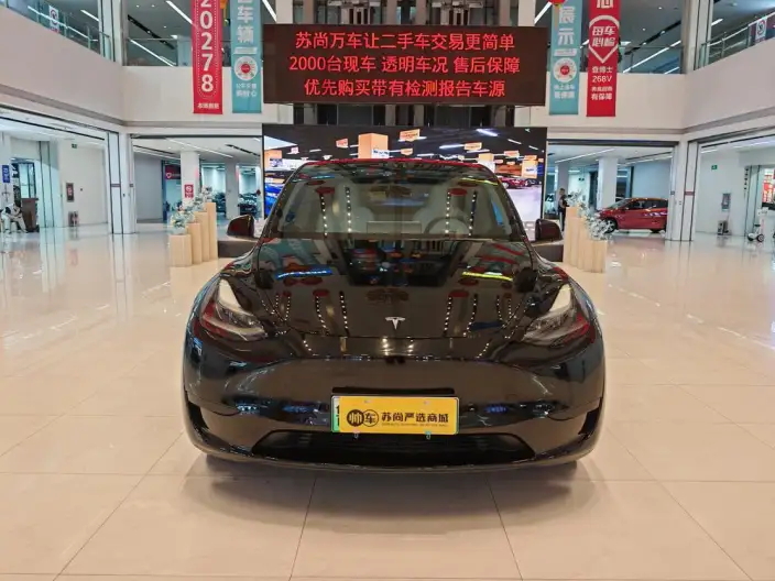 Model Y 2022 Model Rear-wheel drive version – фото 2