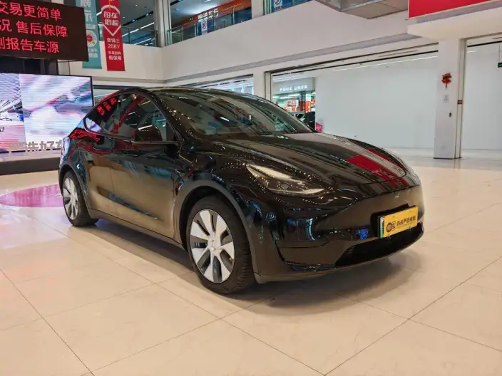 Model Y 2022 Model Rear-wheel drive version – фото 3