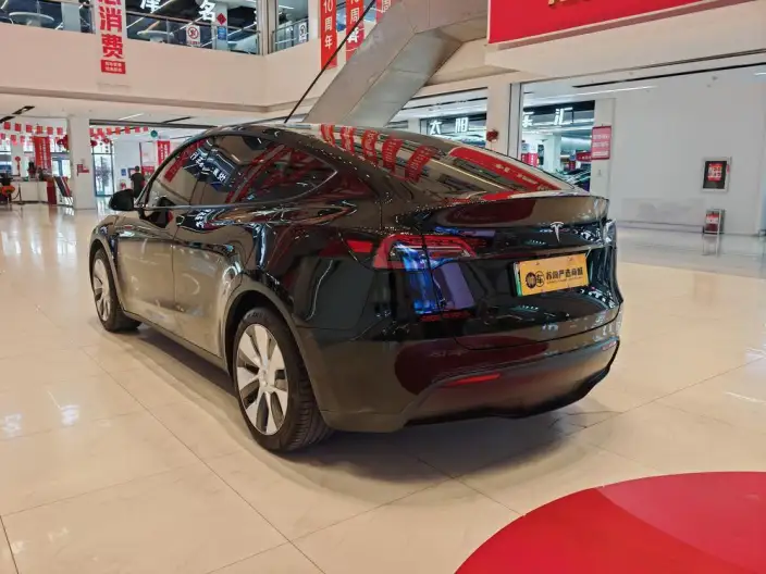 Model Y 2022 Model Rear-wheel drive version – фото 4