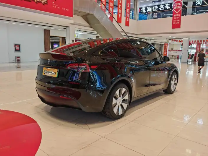 Model Y 2022 Model Rear-wheel drive version – фото 5