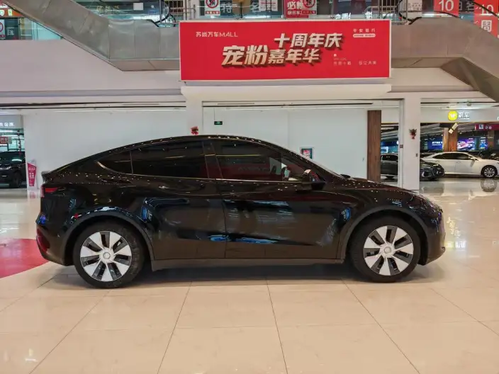 Model Y 2022 Model Rear-wheel drive version – фото 6