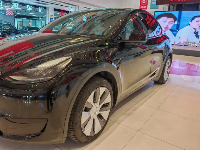 Model Y 2022 Model Rear-wheel drive version – фото 10