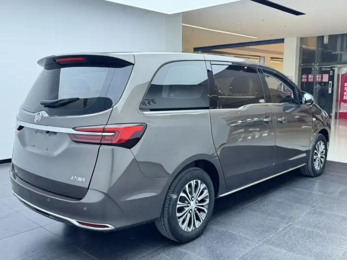Buick GL8 2023 Model Business class 2.0T Comfort Model – фото 6