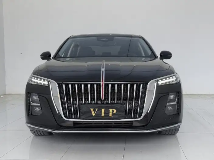 Hongqi H5 2024 Model 2.0T Automatic Flag Enjoy Edition – фото 2
