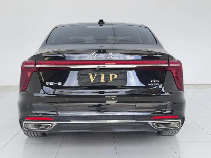 Hongqi H5 2024 Model 2.0T Automatic Flag Enjoy Edition – фото 5