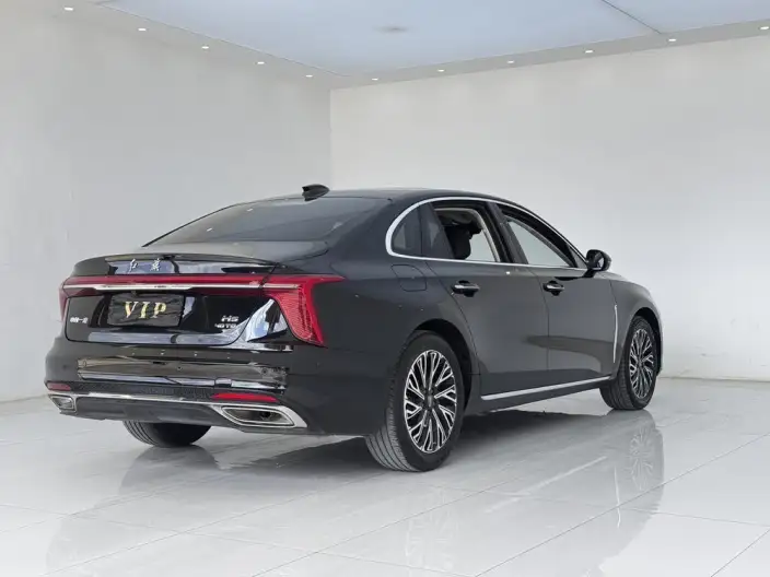 Hongqi H5 2024 Model 2.0T Automatic Flag Enjoy Edition – фото 6