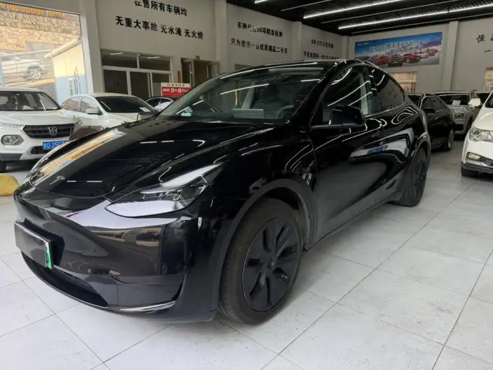 Model Y 2023 Model Rear-wheel drive version – фото 1