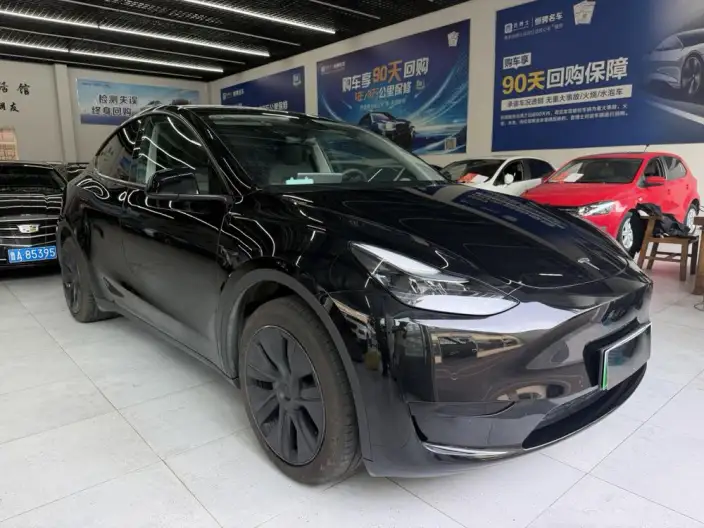 Model Y 2023 Model Rear-wheel drive version – фото 3