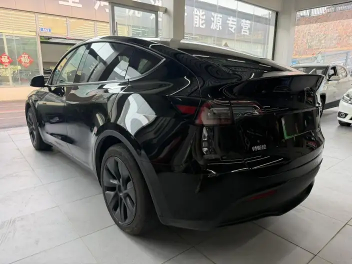 Model Y 2023 Model Rear-wheel drive version – фото 4