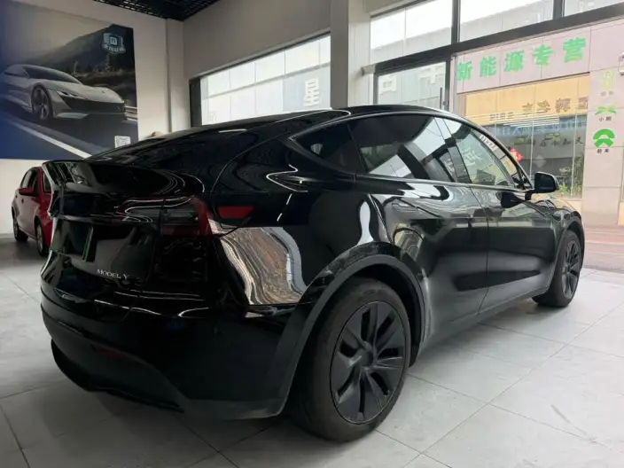 Model Y 2023 Model Rear-wheel drive version – фото 6