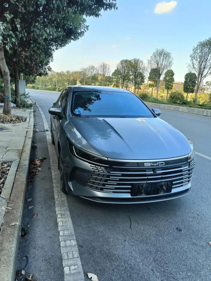 BYD Destroyer 05 2023 Model DM-i Champion Edition 120KM Zunrong Model – фото 7