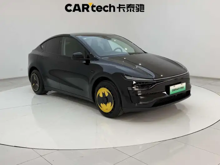 Model Y 2025 Model Rear-wheel drive version – фото 3