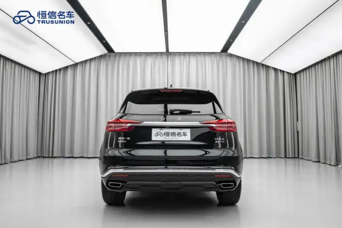 Hongqi HS5 2022 Model 2.0T Smart Flag Enjoy 4WD Edition – фото 5
