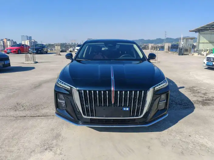 Hongqi H5 2023 Model 2.0T Automatic Flag Enjoy Edition – фото 2