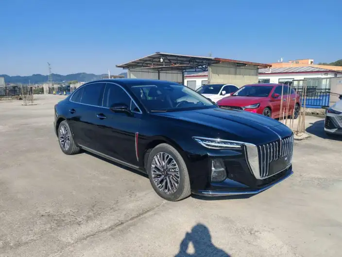 Hongqi H5 2023 Model 2.0T Automatic Flag Enjoy Edition – фото 3