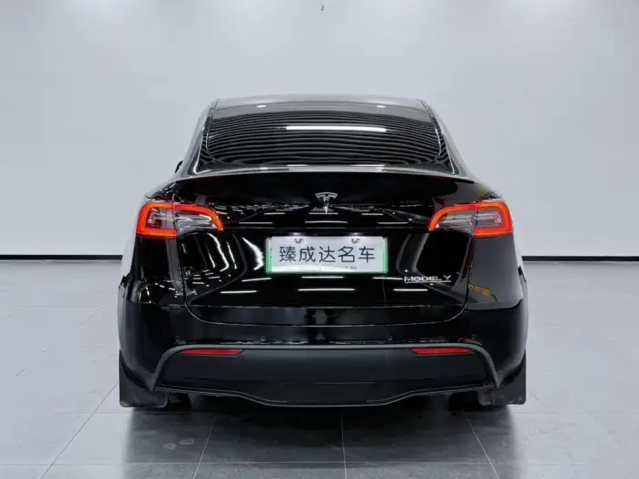 Model Y 2022 Model Performance High performance All-wheel drive version – фото 5