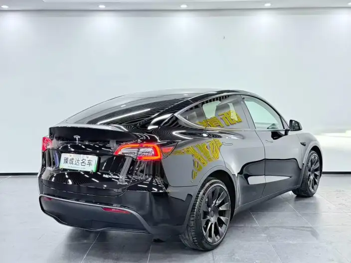 Model Y 2022 Model Performance High performance All-wheel drive version – фото 6