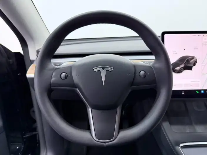 Model Y 2022 Model Performance High performance All-wheel drive version – фото 9
