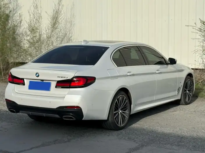 BMW 5 Series 2023 Model 530Li Leading Model M Sports Set – фото 6