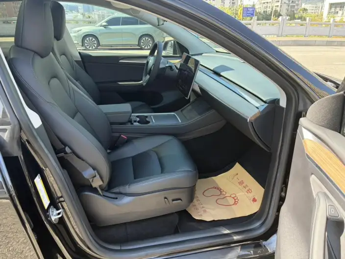 Model Y 2022 Model Facelift Rear-wheel drive version – фото 7