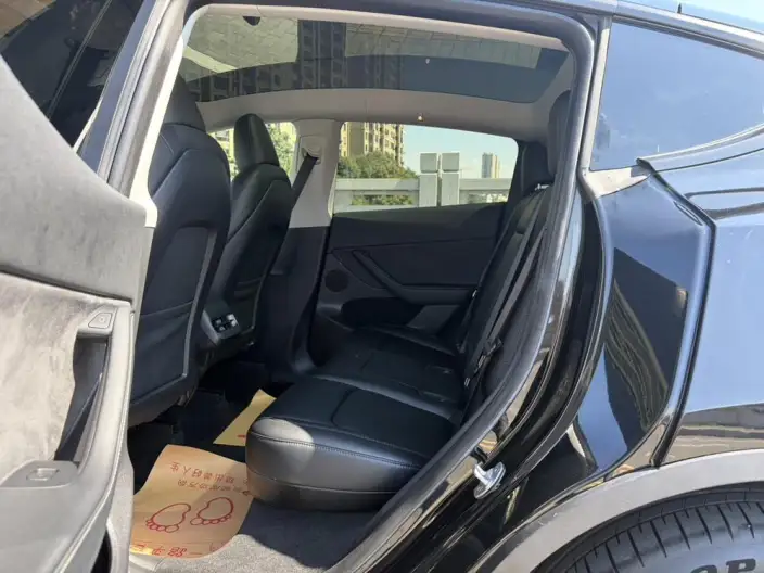 Model Y 2022 Model Facelift Rear-wheel drive version – фото 10