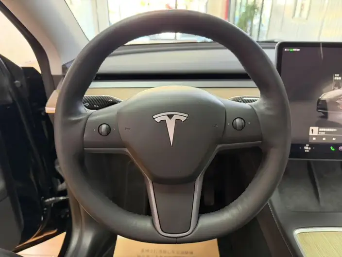 Model Y 2022 Model Facelift Long Battery Life Pro All-wheel drive version – фото 10