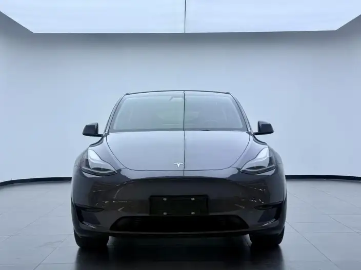 Model Y 2022 Model Facelift Rear-wheel drive version – фото 2