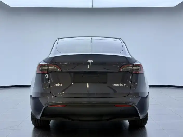 Model Y 2022 Model Facelift Rear-wheel drive version – фото 3