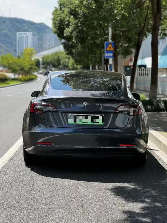 Model 3 2022 Model Performance High performance All-wheel drive version – фото 3