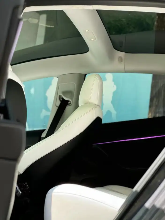 Model 3 2022 Model Performance High performance All-wheel drive version – фото 5