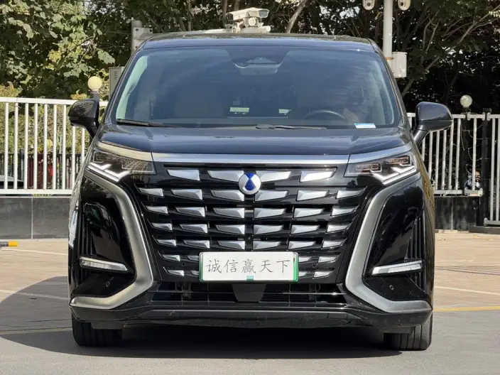 DENZA D9 DM 2024 Model 970 Luxury Model