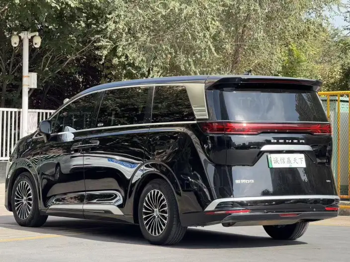 DENZA D9 DM 2024 Model 970 Luxury Model